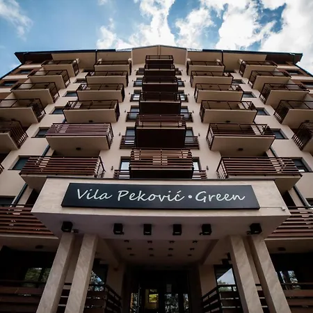 Apartman Raskovic 1 - Balkan Hill 2, Vila Pekovic Zlatibor Exterior foto