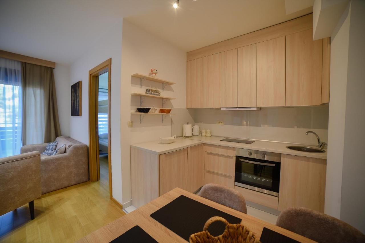 Apartment Raskovic 1 - Balkan Hill 2, Pekovic